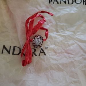Pandora Floral Brillance Charm